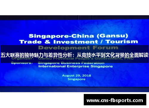 五大联赛的独特魅力与差异性分析：从竞技水平到文化背景的全面解读