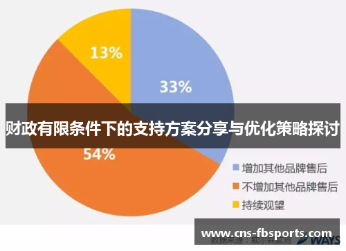 财政有限条件下的支持方案分享与优化策略探讨